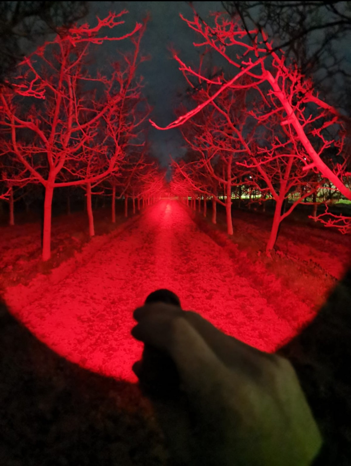 Linterna Convoy M1 LUZ ROJA - imagen 2