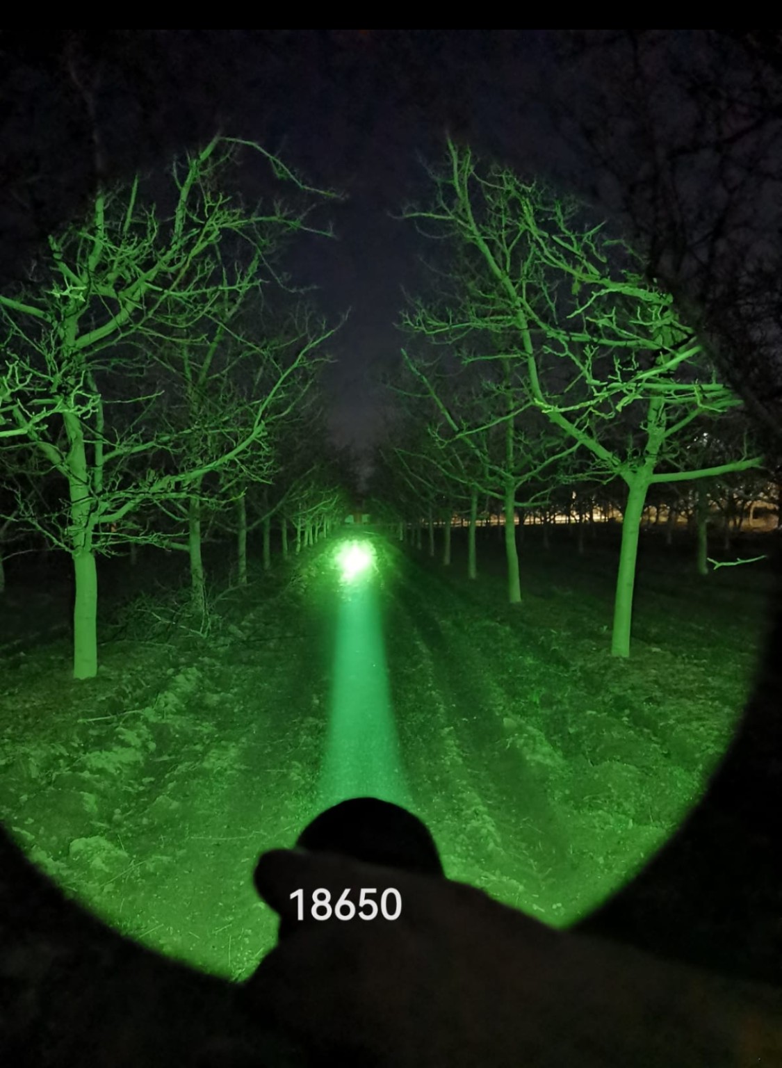 Linterna Convoy C8+ LUZ VERDE - imagen 2